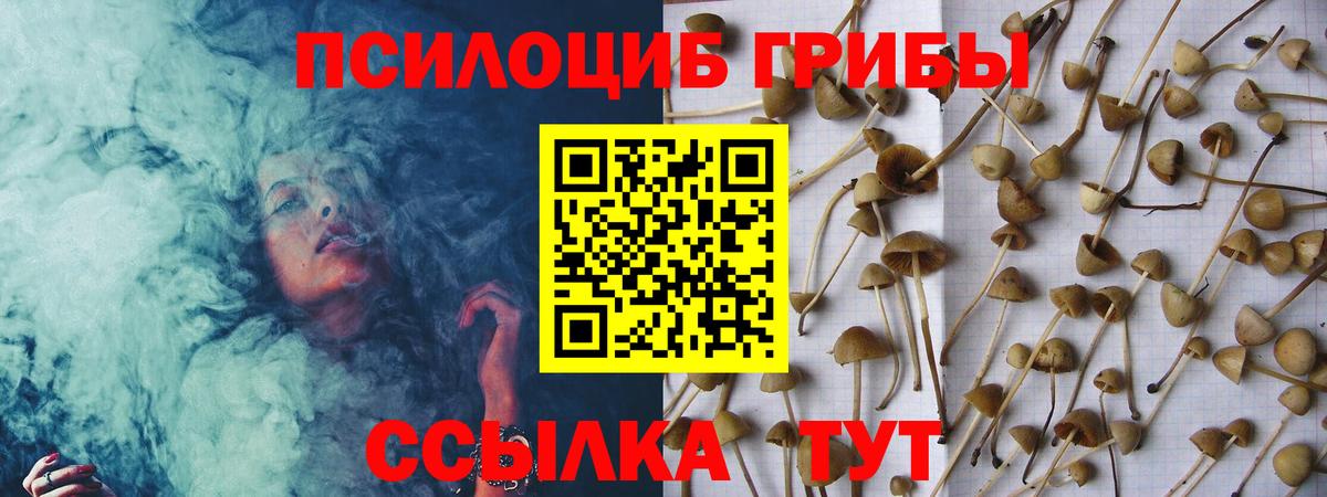 Скопин  магазин продажи наркотиков  Вход с VPN  Галлюциногенные грибы MAGIC MUSHROOMS 